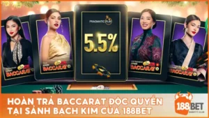 Hoàn Trả Baccarat Độc Quyền Tại Sảnh Bạch Kim