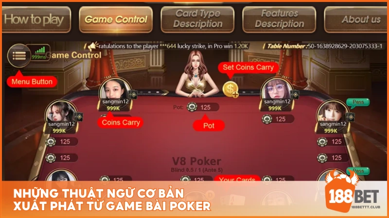 Những thuật ngữ cơ bản xuất phát từ game bài Poker